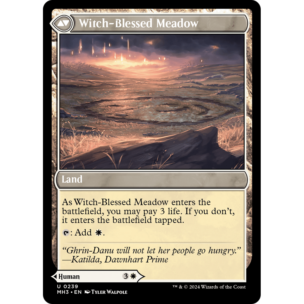 Witch Enchanter // Witch-Blessed Meadow (MH3-239) - Modern Horizons 3