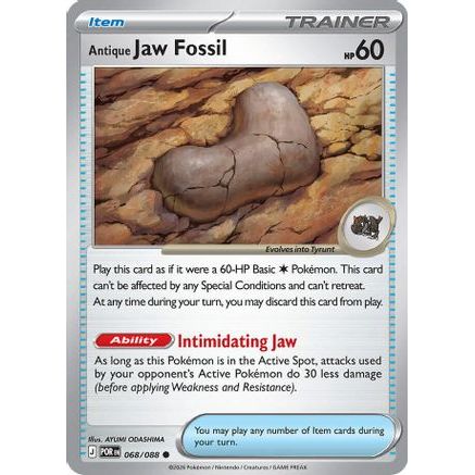 Antique Jaw Fossil 68 - ME03 Perfect Order