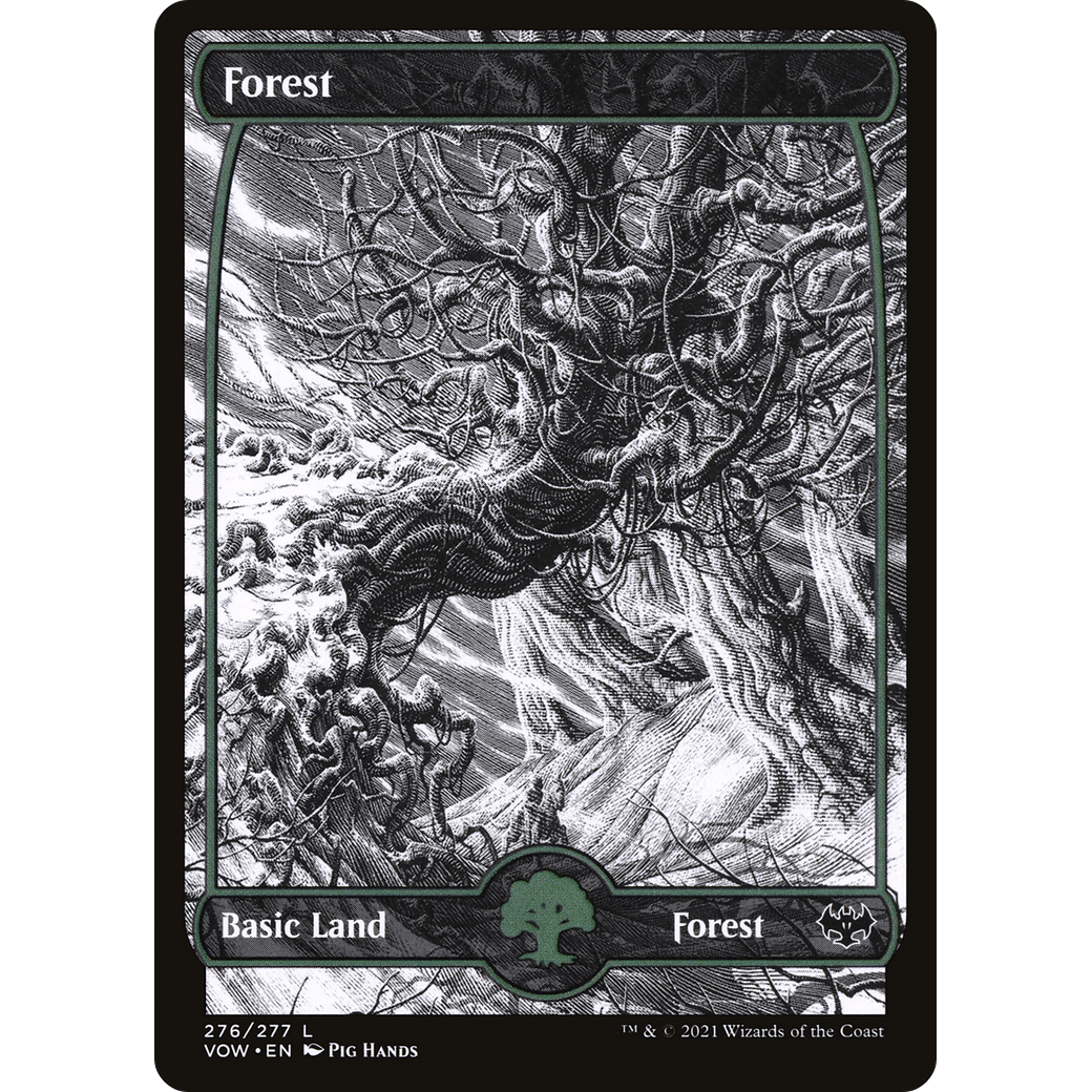 Forest (276) (VOW-276) - Innistrad: Crimson Vow: (Showcase) Foil